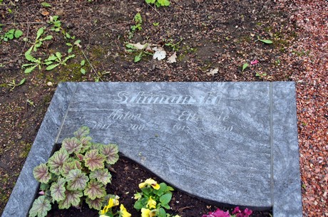 friedhof