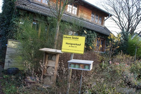 koenigsdorf