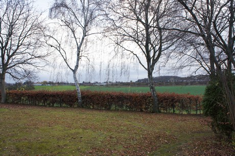koenigsdorf