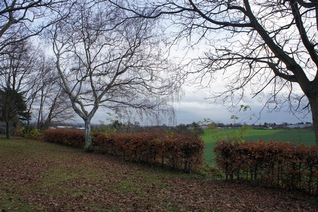 koenigsdorf