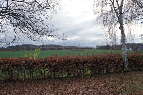 koenigsdorf