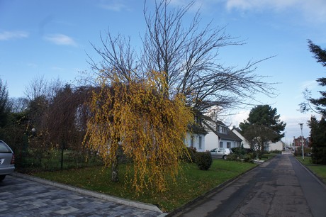 koenigsdorf