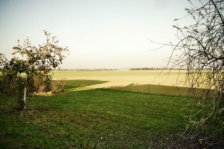 koenigsdorf