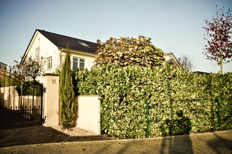 koenigsdorf