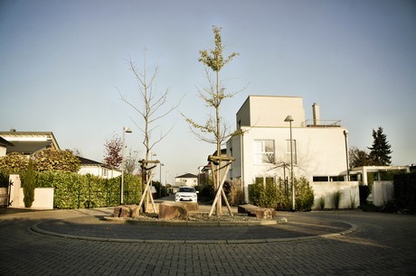 koenigsdorf
