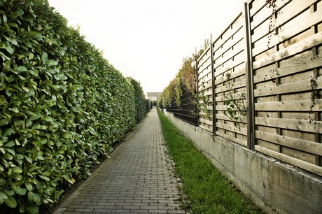 koenigsdorf