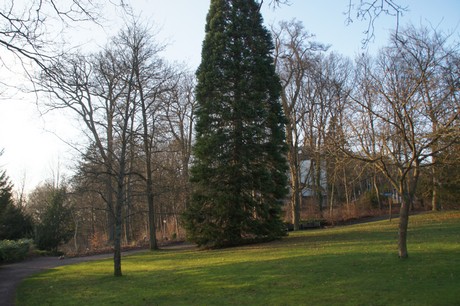koenigstein