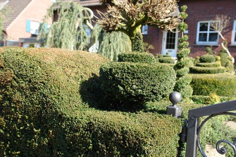 liedberg