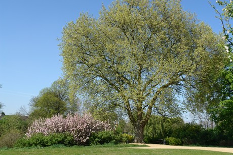 schloss-linn