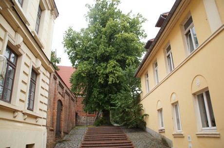 kroepelin