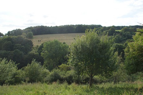 kronenburg