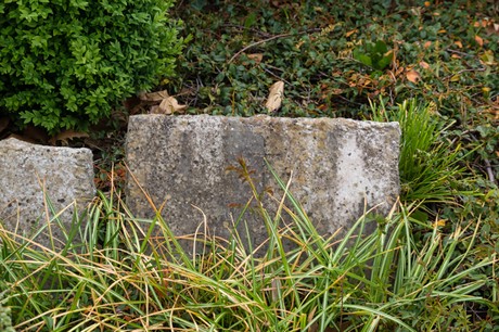 Langendorf