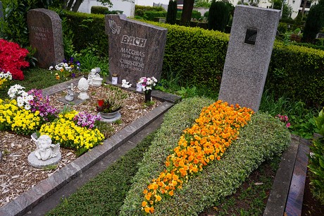 Lannesdorf