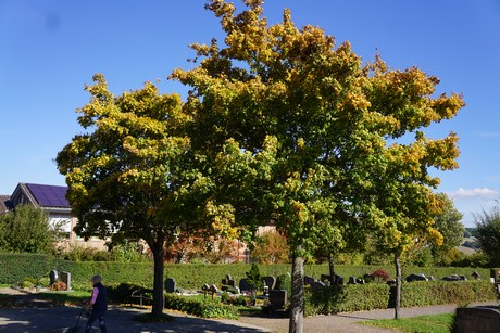 Leimersdorf