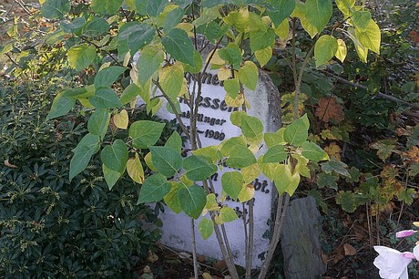 Lendersdorf