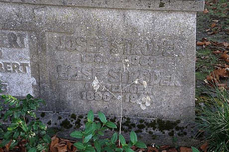 Lendersdorf