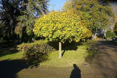 Lendersdorf