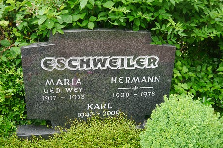Lessenich