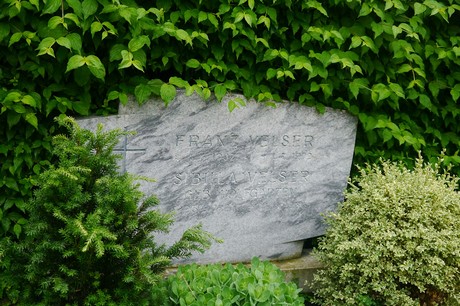 Lessenich