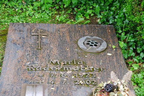 Lessenich