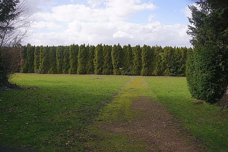 Lipp-Bedburg
