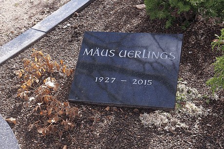 Lipp-Bedburg