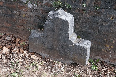Lipp-Bedburg