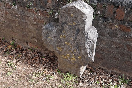 Lipp-Bedburg