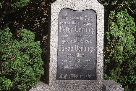 Lipp-Bedburg