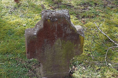 Lipp-Bedburg