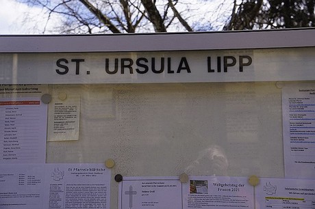 Lipp-Bedburg