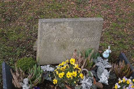 Lipp-Bedburg