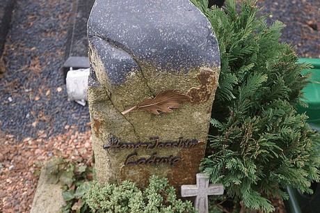 Lipp-Bedburg