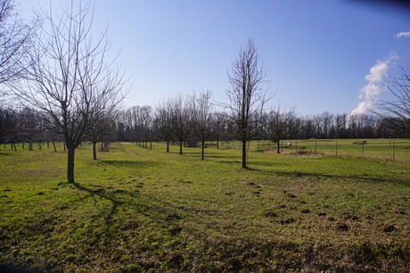 Lucherberg-Inden