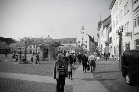 landau-in-der-pfalz