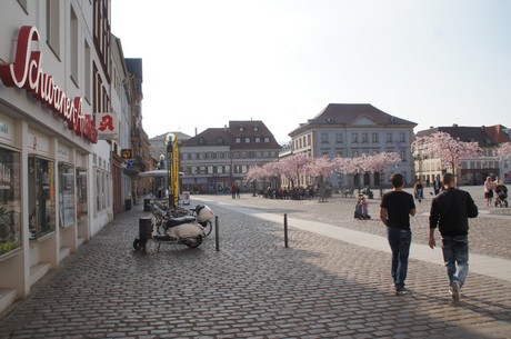 landau-in-der-pfalz