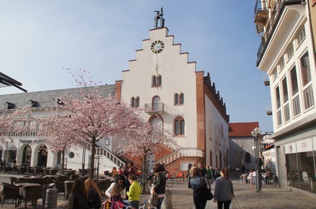 landau-in-der-pfalz