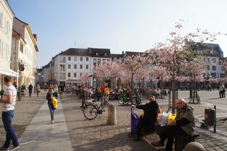 landau-in-der-pfalz