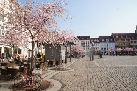 landau-in-der-pfalz