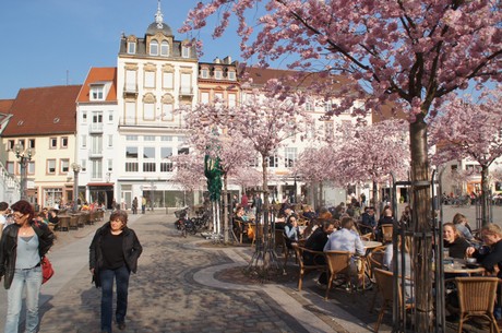 landau-in-der-pfalz