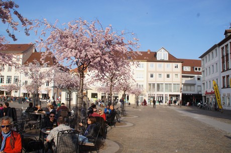 landau-in-der-pfalz