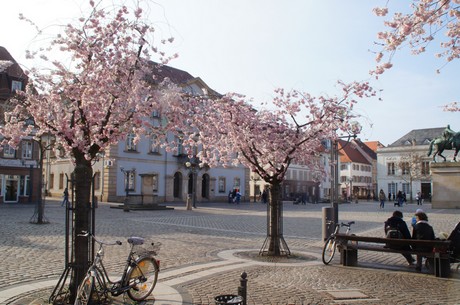 landau-in-der-pfalz