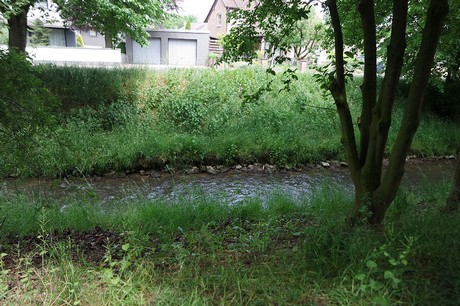 langenich
