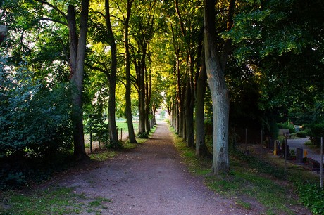 Lechenich
