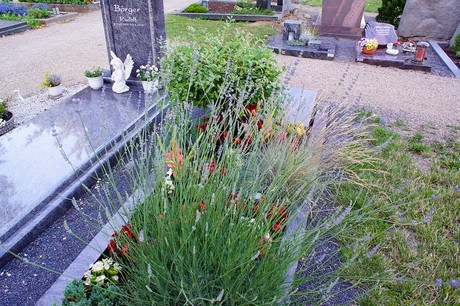 Lechenich