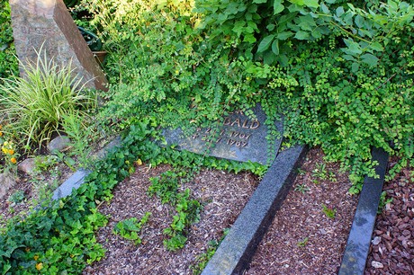 Lechenich