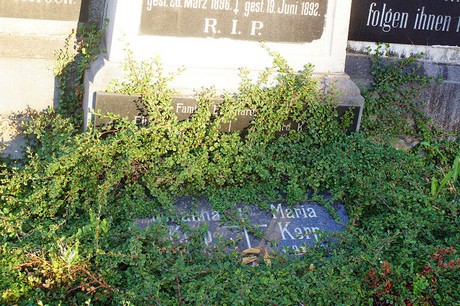 Lechenich