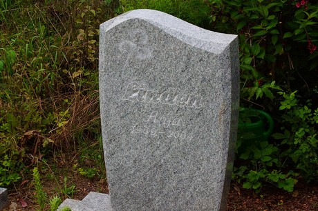 Lechenich
