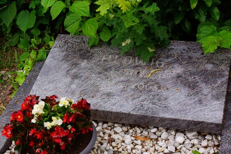 Lechenich