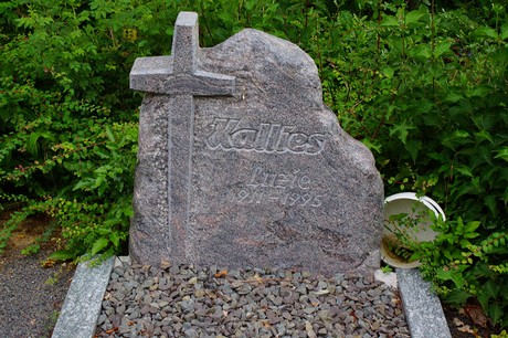 Lechenich